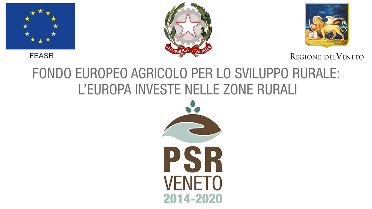 banner regione veneto